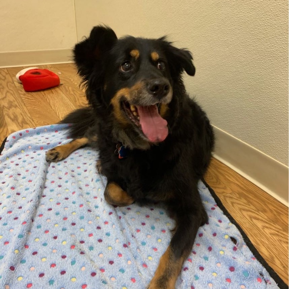 Meet your Posher, Pat